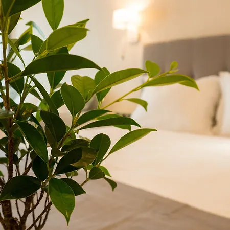 Costa Domus Blue Luxury * Nikiti (Sithonia)