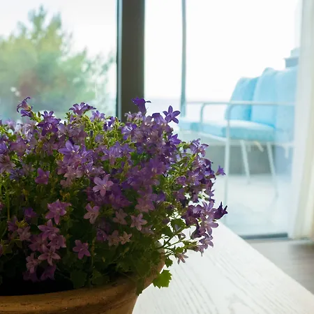 Apartamento Costa Domus Blue Luxury *