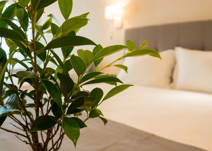 Costa Domus Blue Luxury * Nikiti (Sithonia)