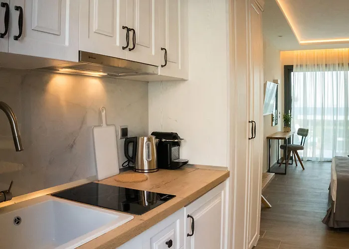 Costa Domus Blue Luxury Daire Nikiti (Sithonia)